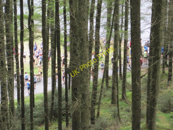 Photo 6"x4" Runners and Trees Cwmbrwyno c2010