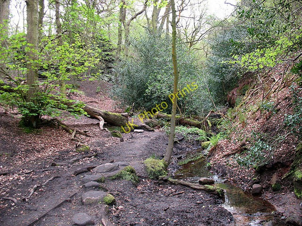 Photo 6"x4" Stream in Waterfall Wood Alderley Edge\/SJ8478 c2010