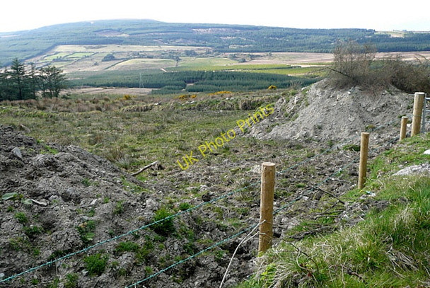 Photo 6"x4" Scrubland at Kinturk Connolly c2010