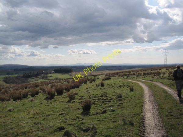 Photo 6"x4" Footpath and Track towards Highstead Ash Farmal Sike c2010