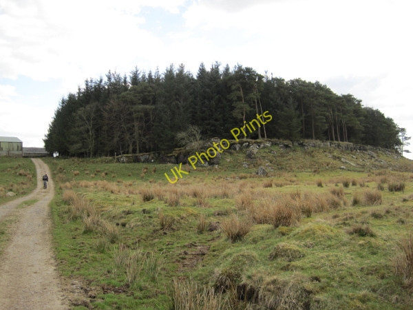 Photo 6"x4" Ash Crag close to Highstead Ash Farmal Sike c2010