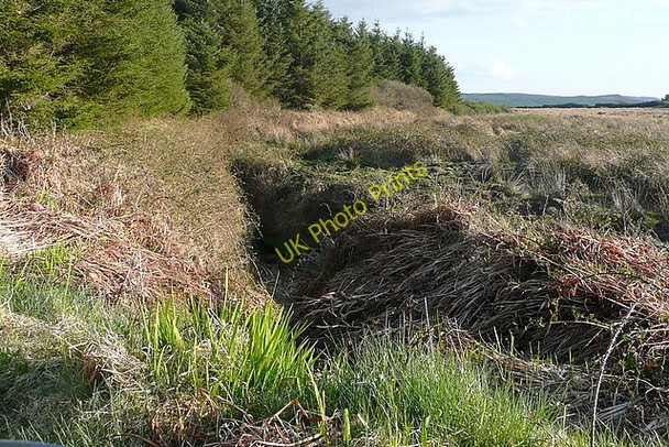 Photo 6"x4" Scrubland at Cloonlaheen West Mullagh c2010