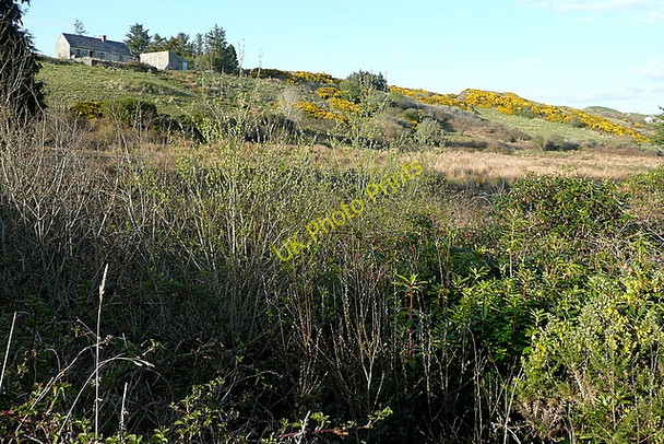 Photo 6"x4" House at Cloonlaheen West Mullagh c2010