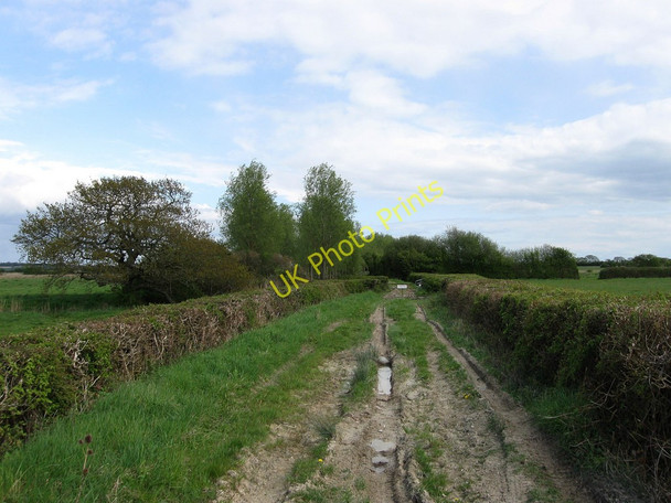 Photo 6"x4" Harebeating Lane Hailsham c2010
