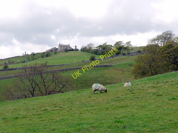 Photo 6"x4" Farmland below Whitestones West Blackdene c2010