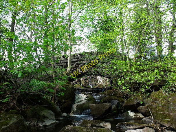 Photo 6"x4" The Top Brig, Colzium Estate Kilsyth Kilsyth c2010