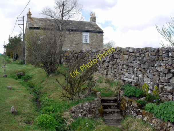 Photo 6"x4" Cottage east of Lane Hill, Ireshopeburn Ireshopeburn c2010