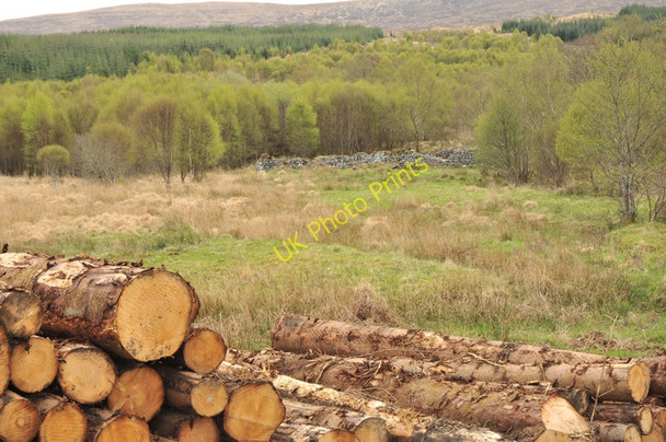 Photo 6"x4" Log piles and abandoned sheep pens near Duisky Duisky c2010