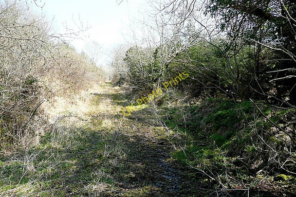Photo 6"x4" Forestry road at Cappelea Kilmaley c2010