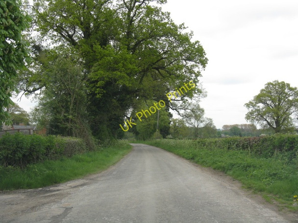 Photo 6"x4" Lane at New House farm Weobley Marsh c2010