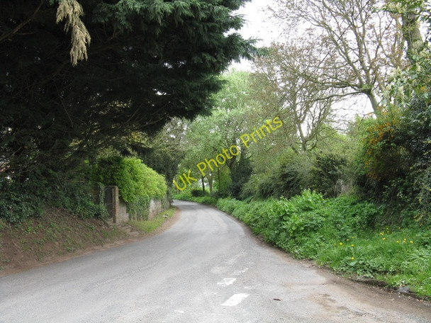 Photo 6"x4" Lane to Canon Pyon at the village church Highway\/SO4549 c2010