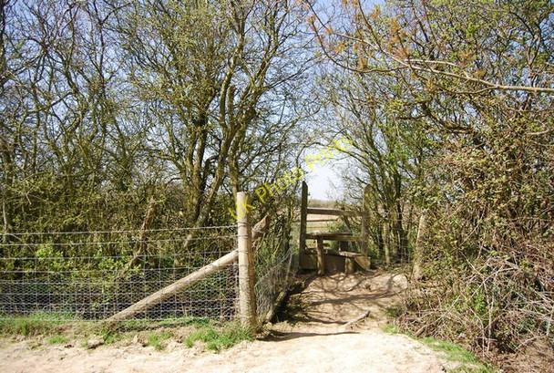 Photo 6"x4" Stile, 1066 Country Walk: westward Winchelsea c2010