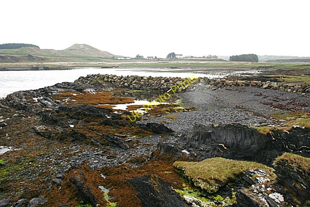 Photo 6"x4" Black Mill Bay Toberonochy c2010