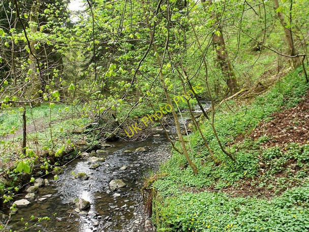 Photo 6"x4" Bogstank Burn Cumbernauld c2010