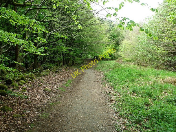 Photo 6"x4" Track off Broom Road, Abronhill Cumbernauld c2010
