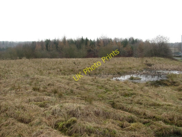 Photo 6"x4" Scrubland by Broadwood Stadium Blackwood\/NS7274 c2011