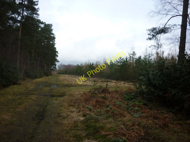 Photo 6"x4" Houghton Moor near North Cliffe North Cliffe c2011