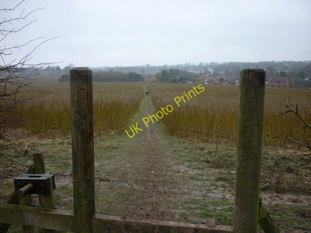 Photo 6"x4" Heading into South Cave, East Yorkshire South Cave c2011