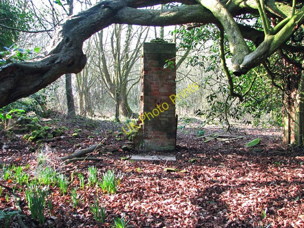 Photo 6"x4" Thursford Castle - the Walsingham Union workhouse Thursford c2011 P1