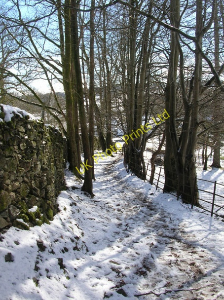 Photo 6"x4" Footpath to Skelwith Bridge Skelwith Bridge c2008