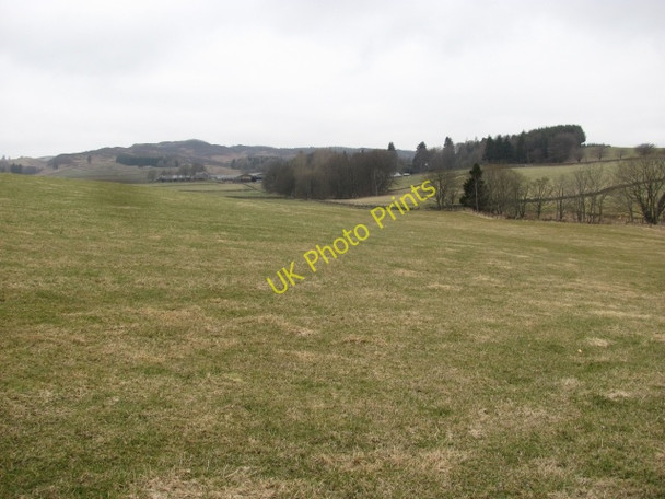 Photo 6"x4" Pasture, Persie Netherton\/NO1452 c2011