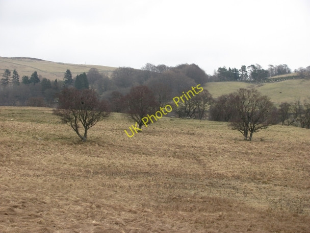 Photo 6"x4" Rough grazing, Persie Netherton\/NO1452 c2011