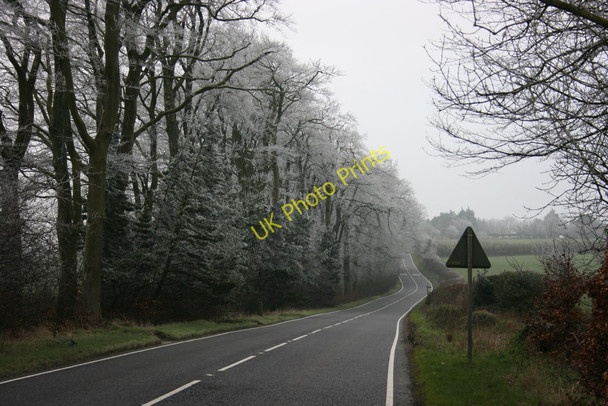 Photo 6"x4" Frosted trees, Windwhistle Windwhistle\/ST3709 c2011