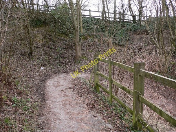 Photo 6"x4" Zig-zag path going down from The Street to Thundery Hill Sandy Cross\/SU8847 c2011