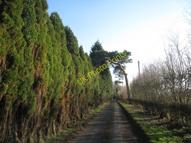 Photo 6"x4" Lane to Kirmington Vale Kirmington c2011