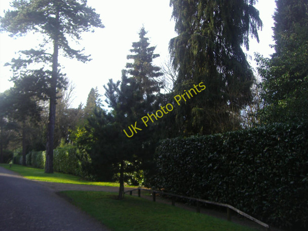 Photo 6"x4" Hockering Road, Woking Woking c2011