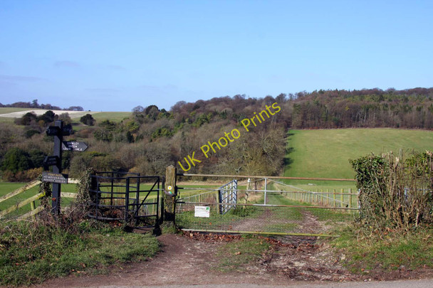 Photo 6"x4" The Ridgeway north of Swyncombe Cookley Green\/SU6990 c2011