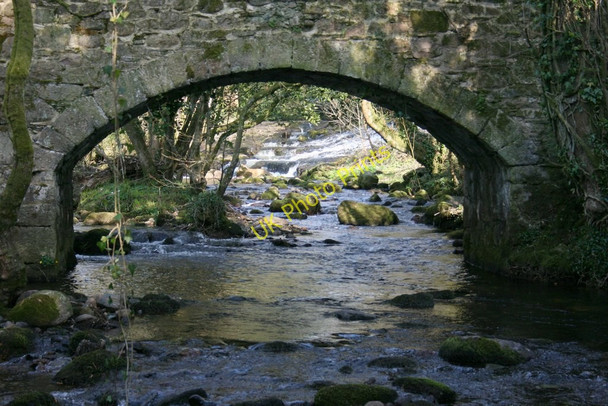 Photo 6"x4" River Avon,  Brent Island Aish\/SX6960 c2009