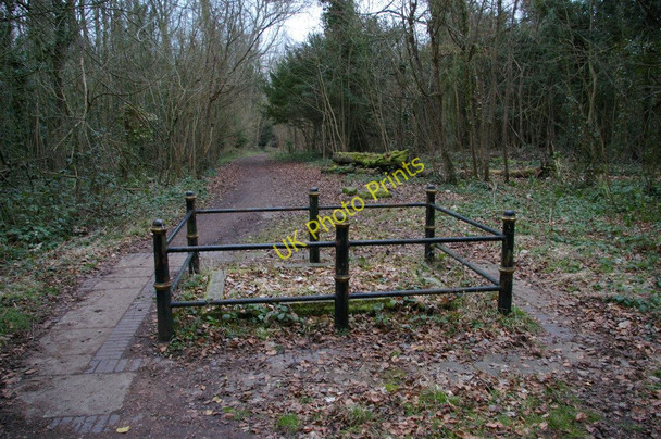 Photo 6"x4" Monument to Harold Fox Pitt Lubbock, woodland, Farnborough Orpington c2011