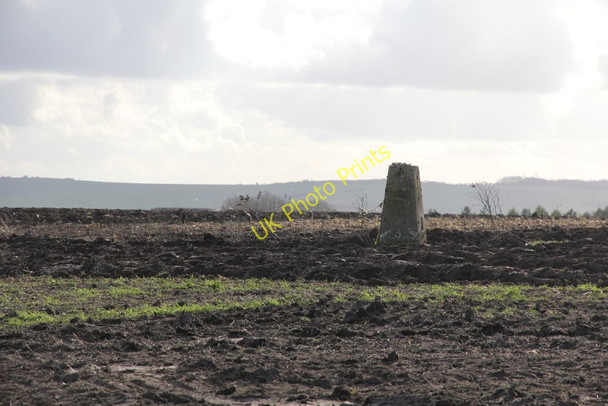 Photo 6"x4" Trig point in the field Chilton\/SU4885 c2011