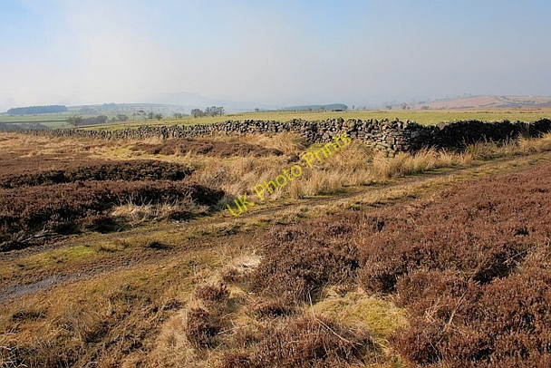 Photo 6"x4" Wall Corner, Osmotherley Moor Osmotherley c2011
