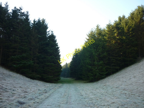 Photo 6"x4" Walking up Wayrham Dale towards the A166 Painsthorpe c2011