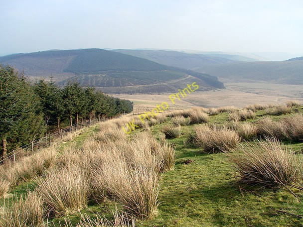Photo 6"x4" Descending from Tir Gwyn to Mynachlog Pant Mawr\/SN8482 c2011