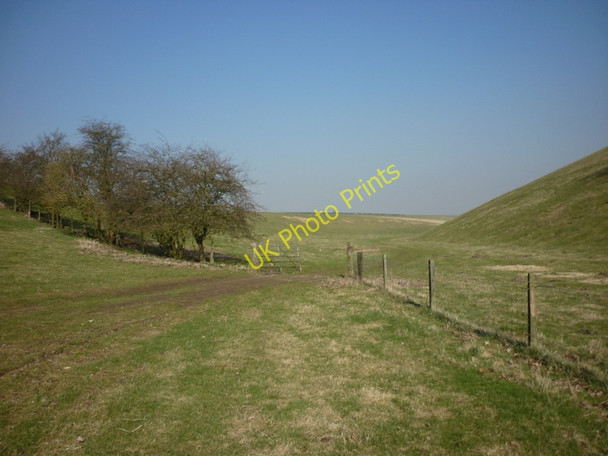 Photo 6"x4" Heading towards Cowdale Plantation Huggate c2011
