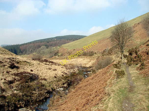 Photo 6"x4" Bridleway beside Afon Bidno Glynhafren c2011