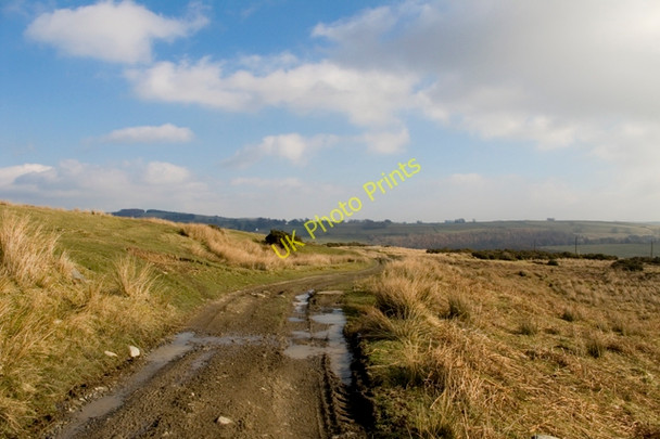 Photo 6"x4" Track across Rosgill Moor Rosgill\/NY5316 c2011