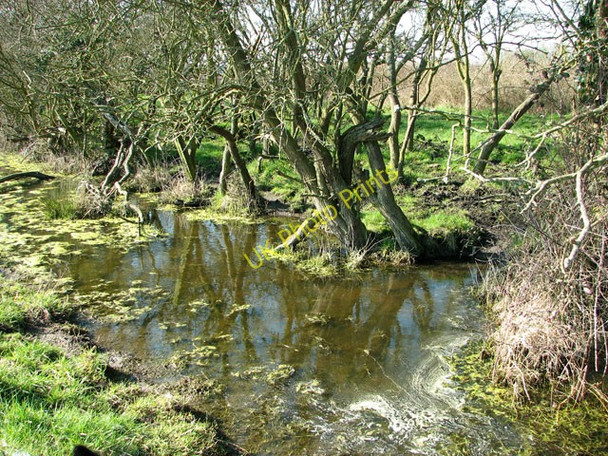 Photo 6"x4" Drainage ditch south of the railway line, Seven Mile House Reedham\/TG4201 c2011