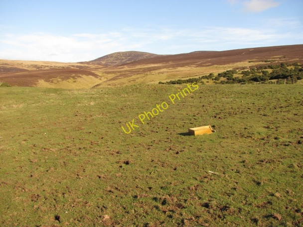 Photo 6"x4" Pasture and Black Mount Walston\/NT0545 c2011