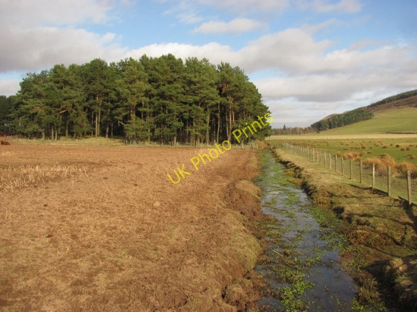 Photo 6"x4" Ha Burn Walston\/NT0545 c2011