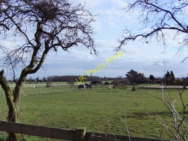 Photo 6"x4" Horse paddocks at Walnut Tree Farm Fenn Street c2011