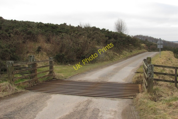 Photo 6"x4" Cattle grid, Newton of Bamff Alyth c2011