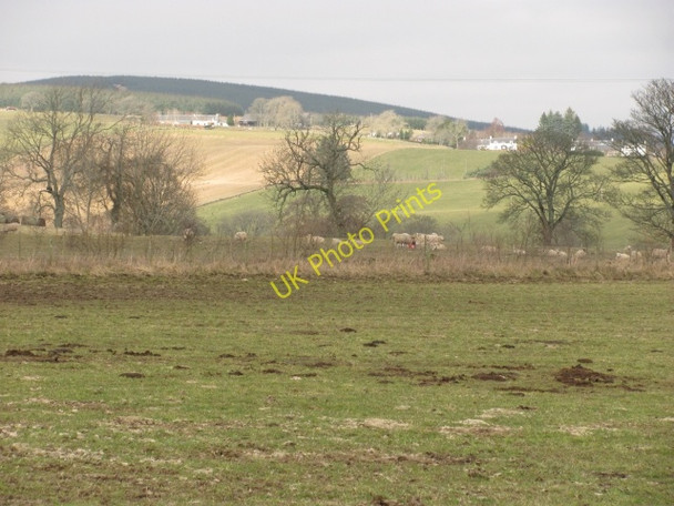 Photo 6"x4" Derry, Glen Isla Bridge of Craigisla c2011