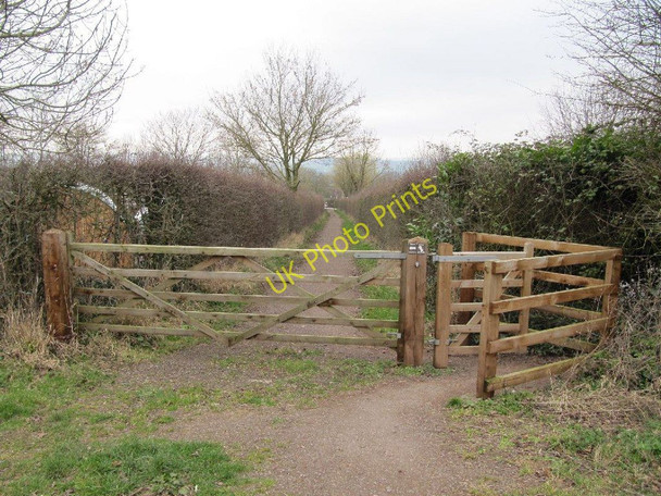 Photo 6"x4" Footpath to the oaks Glastonbury c2011