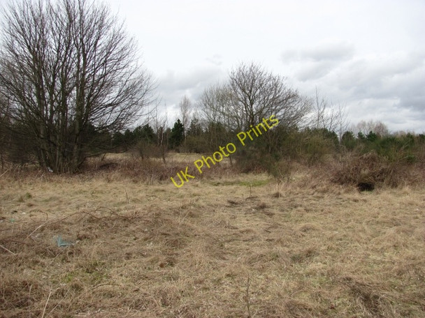 Photo 6"x4" Scrubland beside Kinneil Road Bo'ness c2011