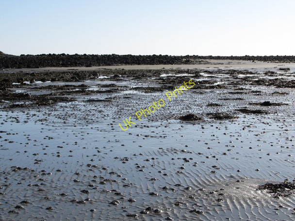Photo 6"x4" View south towards the spit in Cranfield Bay Greencastle\/J2411 c2011