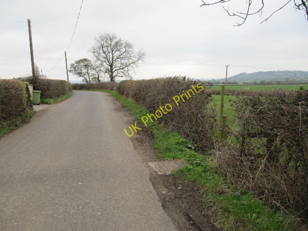 Photo 6"x4" Lane past the footpath Glastonbury c2011